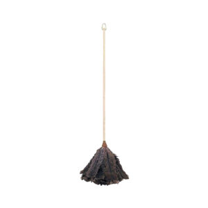 Wooden dust remover with natural feather